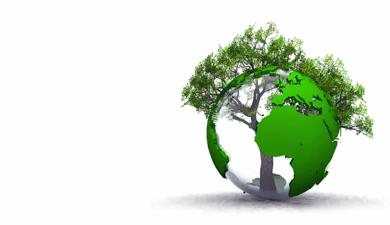 Slide_Charte_environnement5
